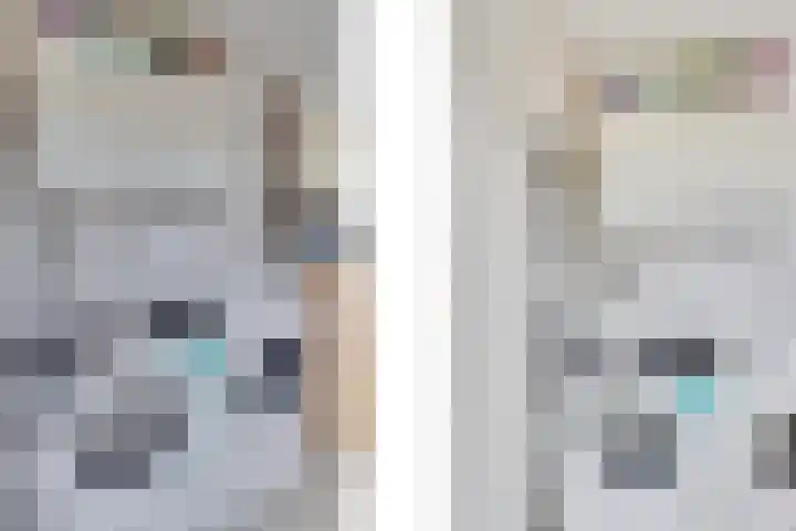 Zonnebloemstraat 15 Goes thumbnail 24