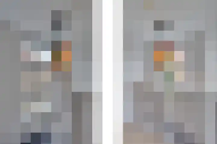 Zonnebloemstraat 15 Goes thumbnail 28