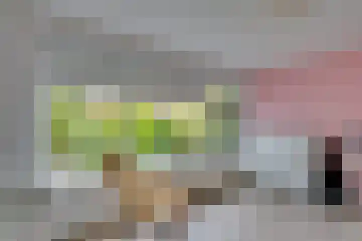Zonnebloemstraat 15 Goes thumbnail 31