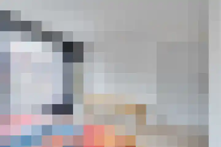 Zonnebloemstraat 15 Goes thumbnail 37