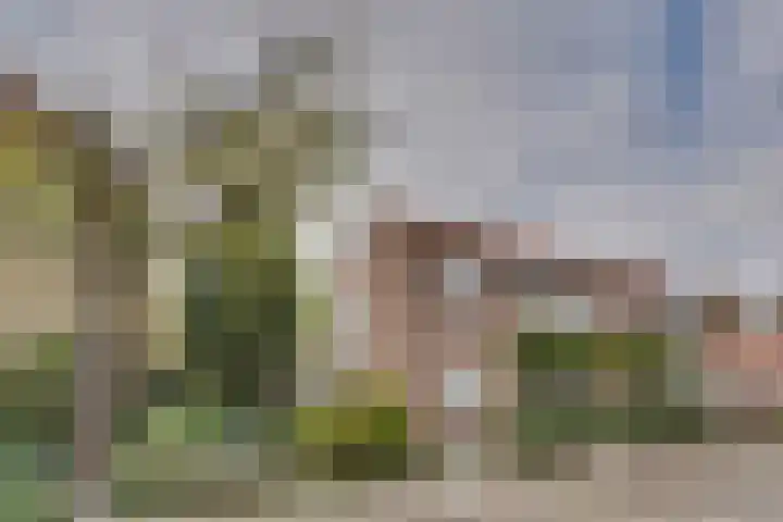 Zonnebloemstraat 15 Goes thumbnail 4