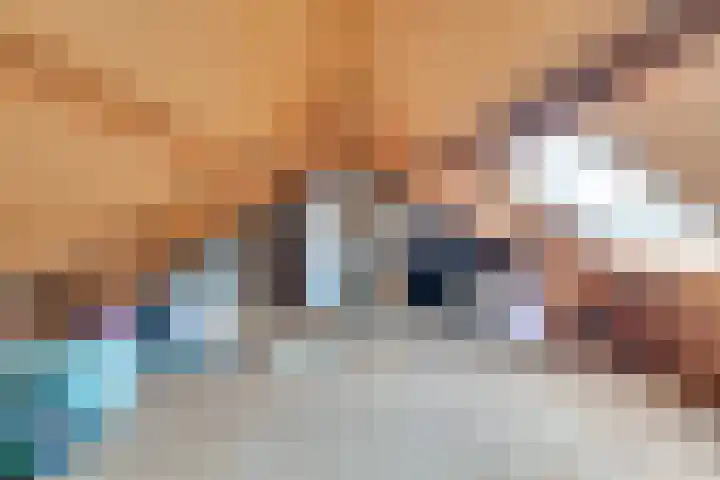 Zonnebloemstraat 15 Goes thumbnail 40
