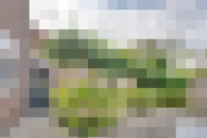 Zonnebloemstraat 15 Goes thumbnail 41