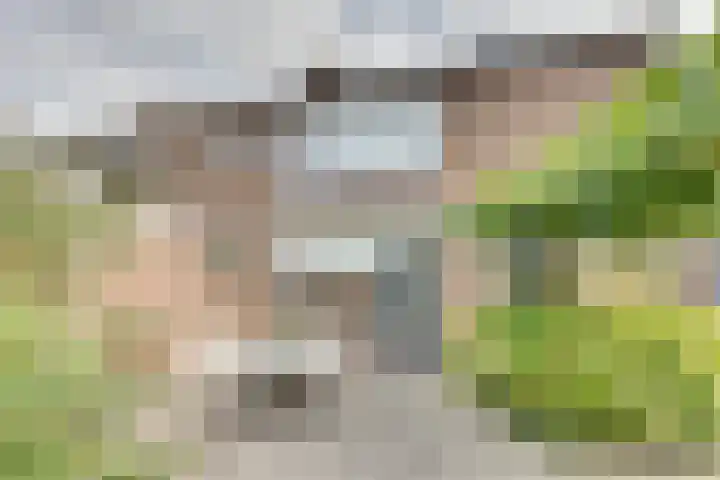Zonnebloemstraat 15 Goes thumbnail 42