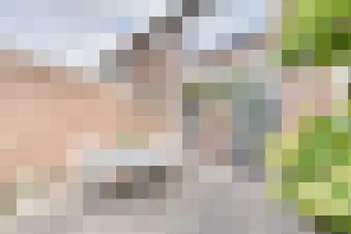 Zonnebloemstraat 15 Goes thumbnail 43
