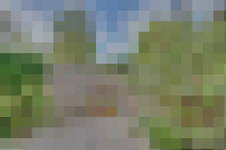 Zonnebloemstraat 15 Goes thumbnail 44