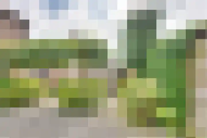 Zonnebloemstraat 15 Goes thumbnail 45
