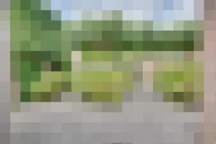 Zonnebloemstraat 15 Goes thumbnail 47