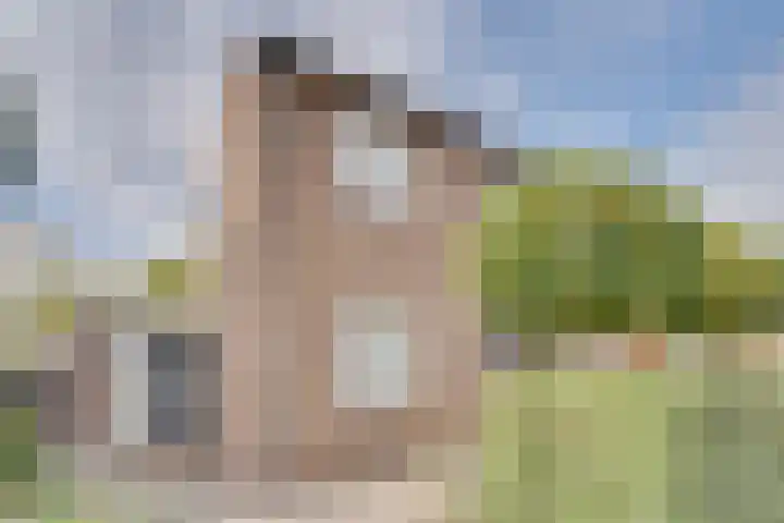 Zonnebloemstraat 15 Goes thumbnail 5