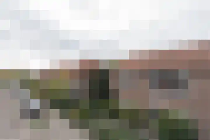 Zonnebloemstraat 15 Goes thumbnail 53