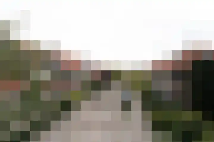Zonnebloemstraat 15 Goes thumbnail 54