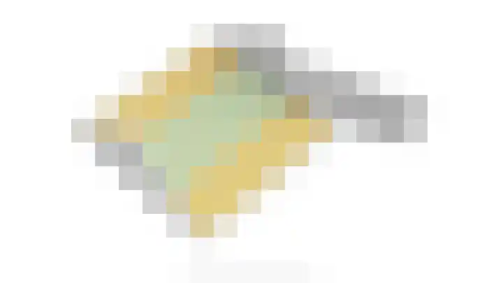 Zonnebloemstraat 15 Goes thumbnail 60