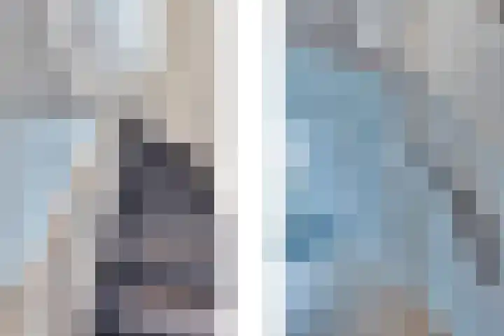 Zonnebloemstraat 15 Goes thumbnail 8