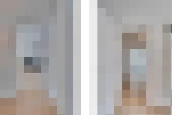 Zonnebloemstraat 15 Goes thumbnail 9