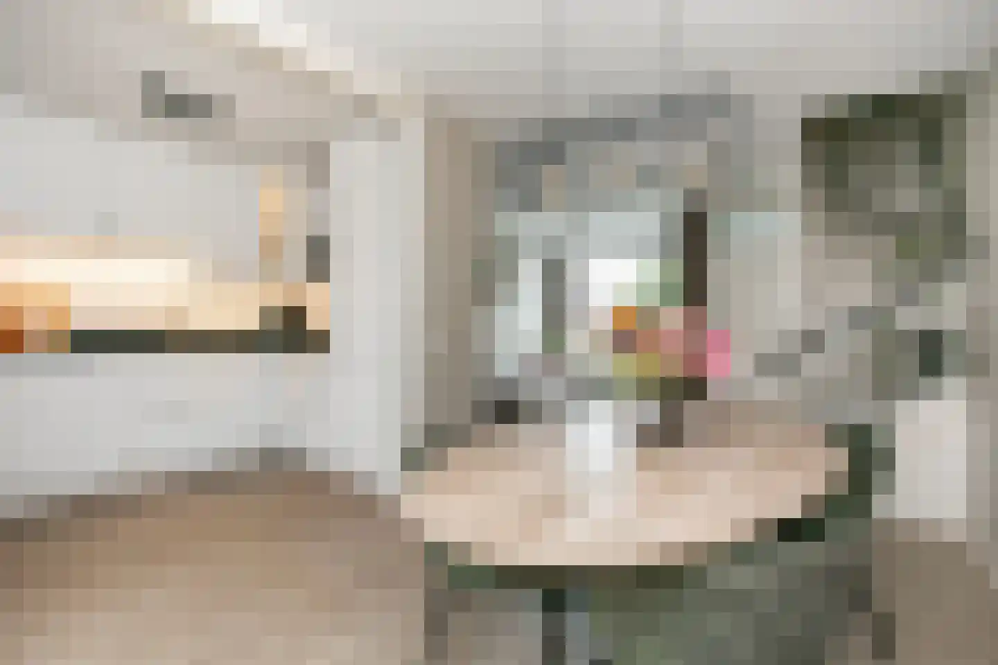 Zonnebloemstraat 16 Nieuwegein thumbnail 11