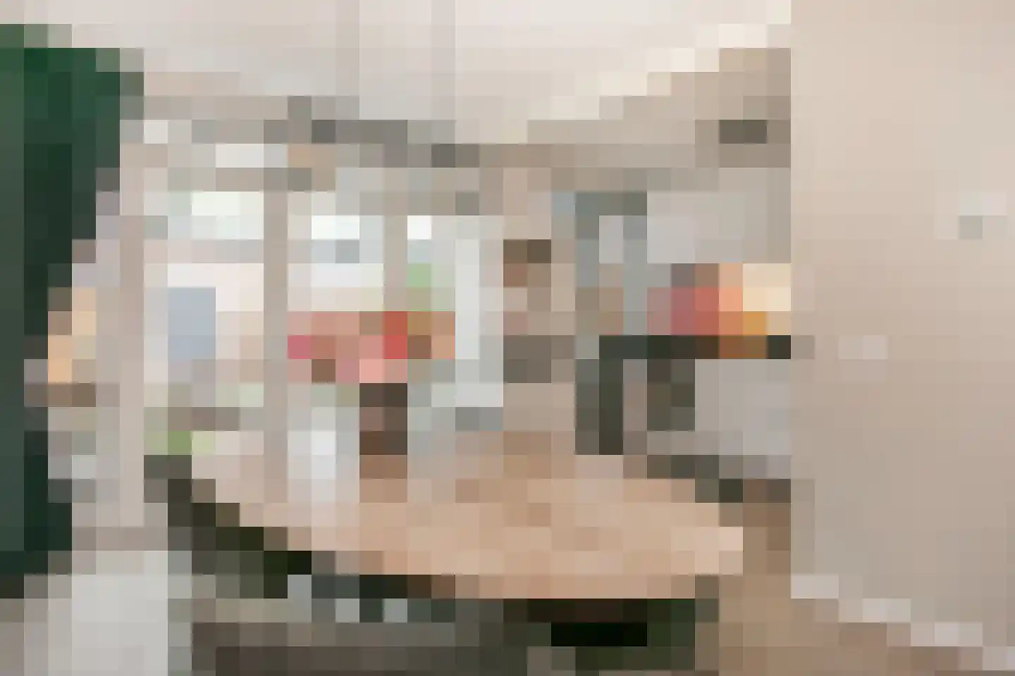 Zonnebloemstraat 16 Nieuwegein thumbnail 12