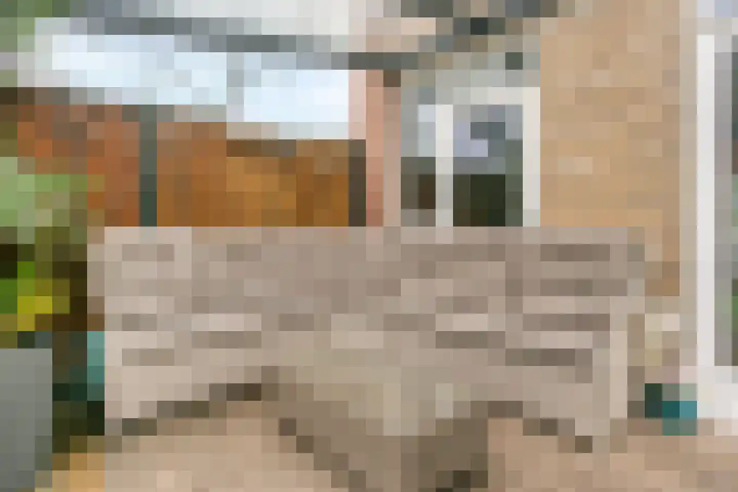 Zonnebloemstraat 16 Nieuwegein thumbnail 20