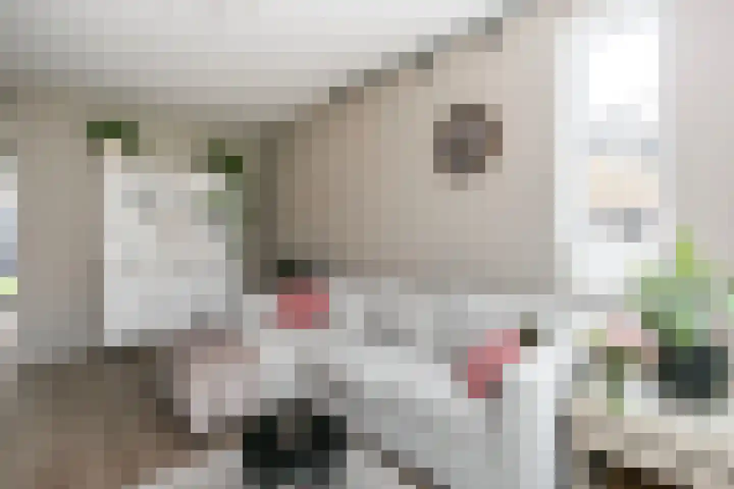 Zonnebloemstraat 16 Nieuwegein thumbnail 9