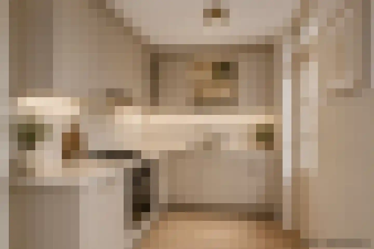 Zonnebloemstraat 16 Oss thumbnail 10