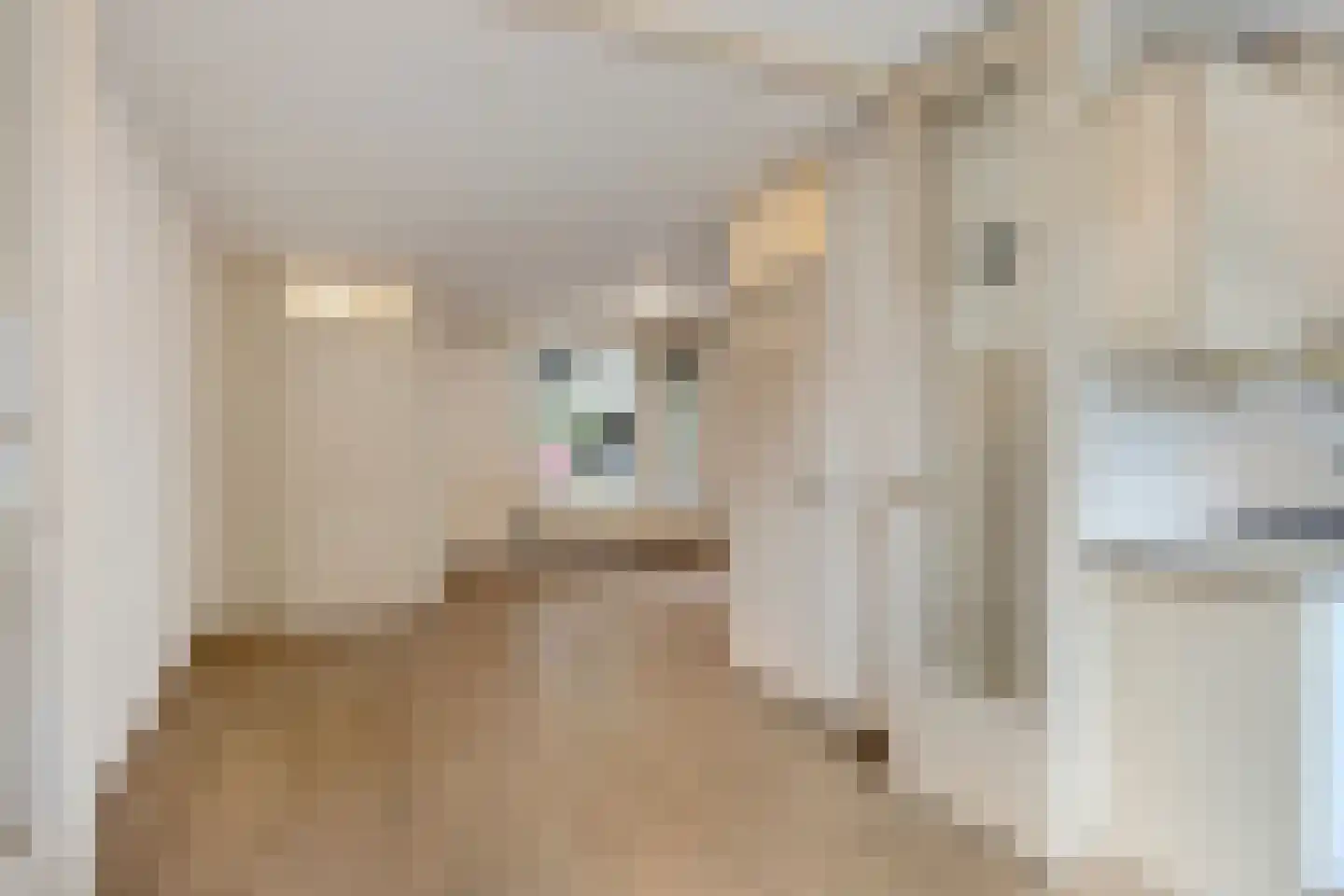 Zonnebloemstraat 16 Oss thumbnail 12