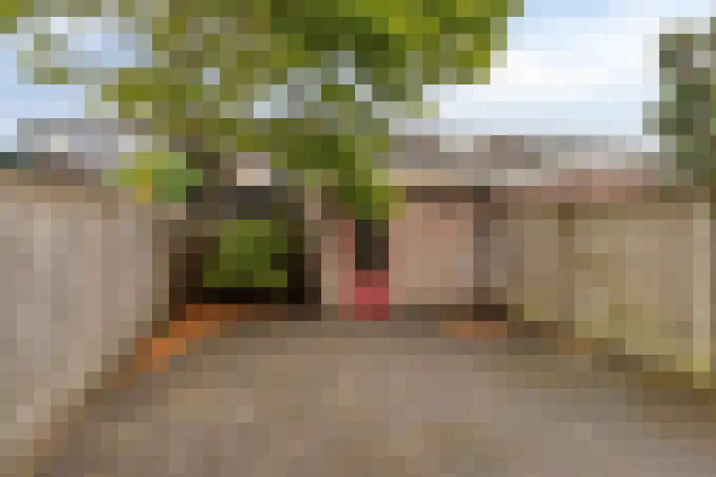 Zonnebloemstraat 16 Oss thumbnail 27