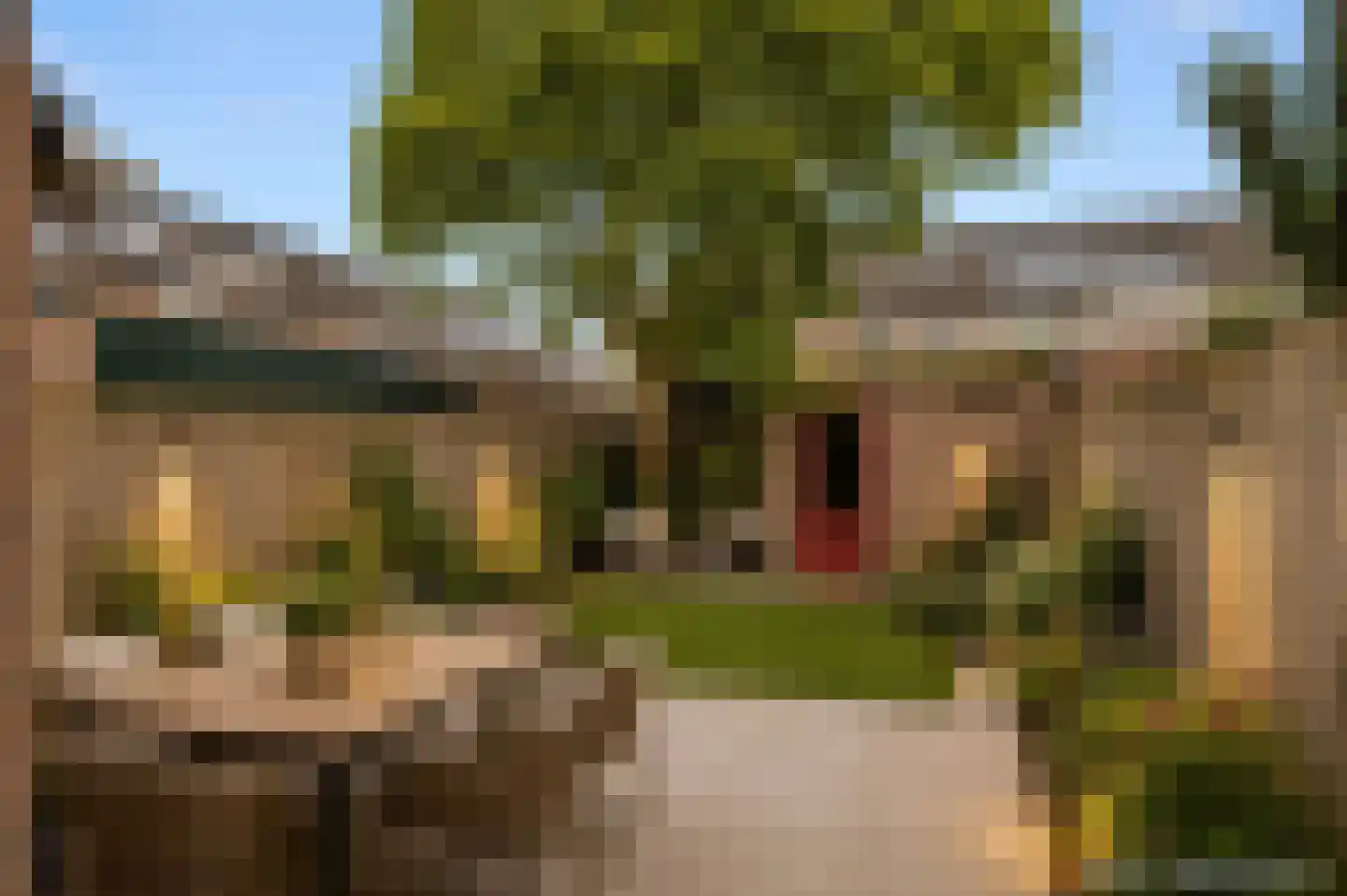 Zonnebloemstraat 16 Oss thumbnail 29
