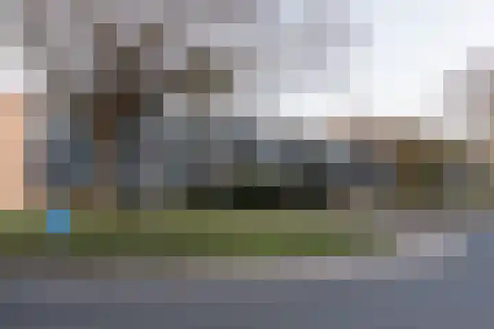 Zonnebloemstraat 168 Zwijndrecht thumbnail 46