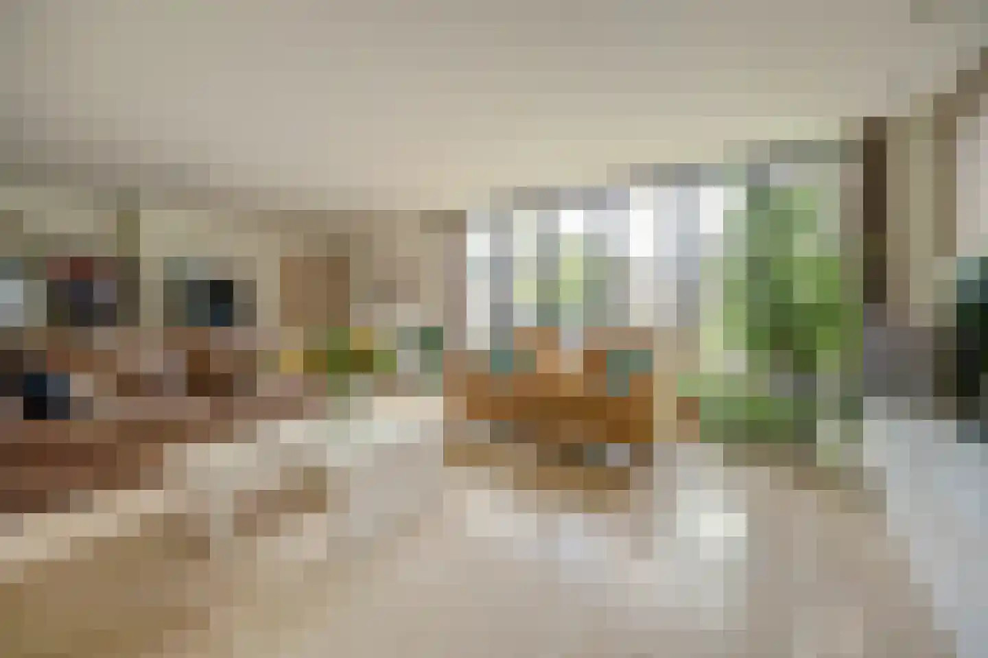 Zonnebloemstraat 17 Colijnsplaat thumbnail 12