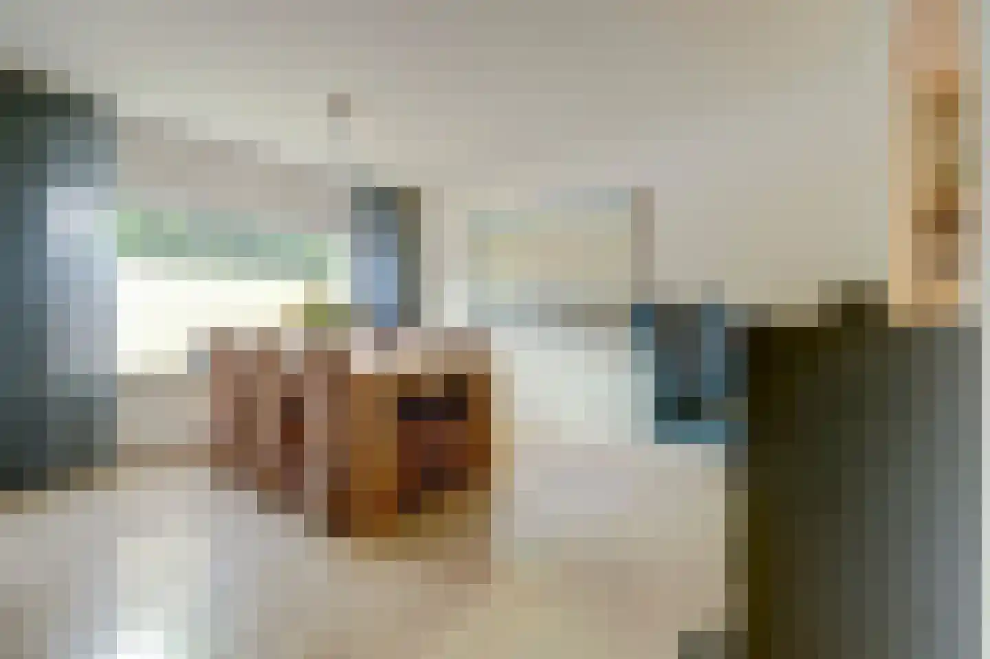 Zonnebloemstraat 17 Colijnsplaat thumbnail 15