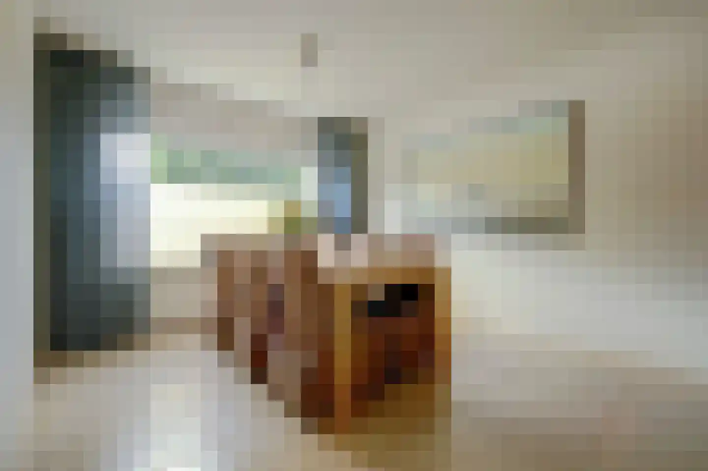 Zonnebloemstraat 17 Colijnsplaat thumbnail 16