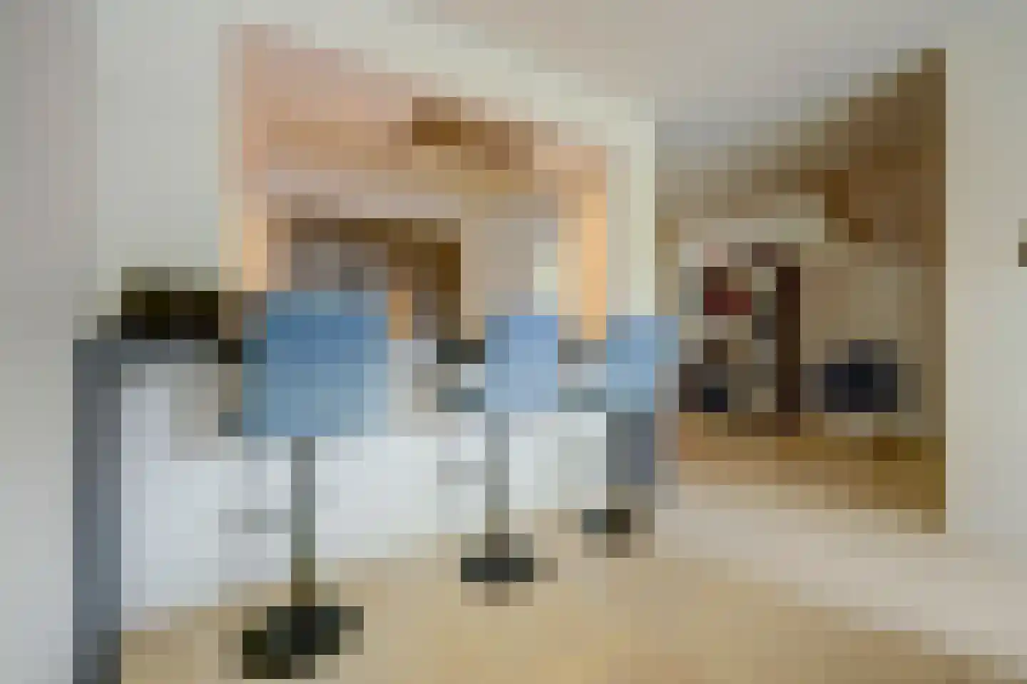 Zonnebloemstraat 17 Colijnsplaat thumbnail 18
