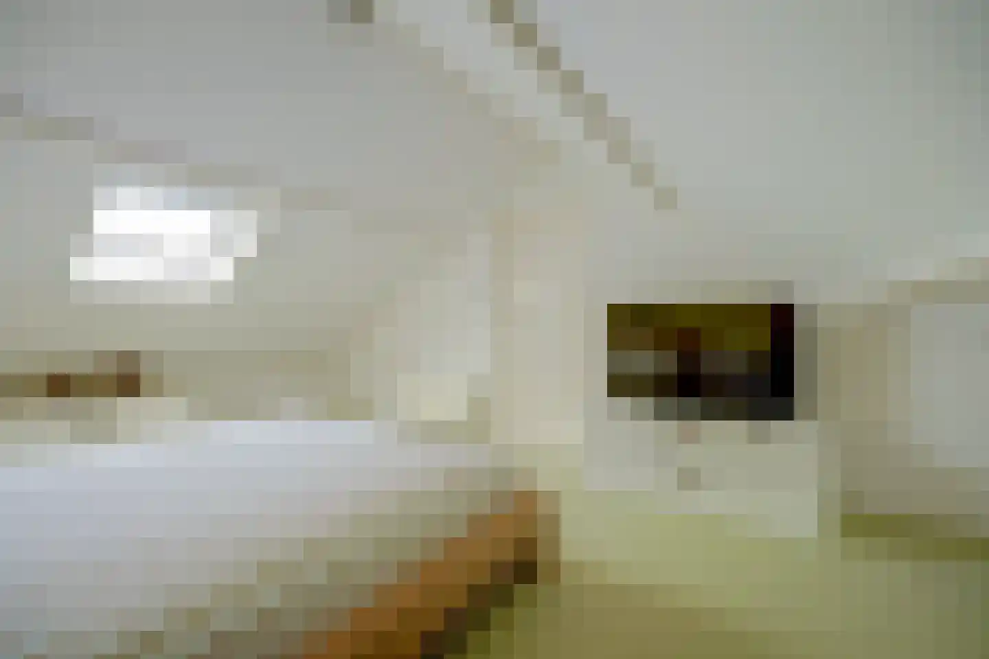 Zonnebloemstraat 17 Colijnsplaat thumbnail 41