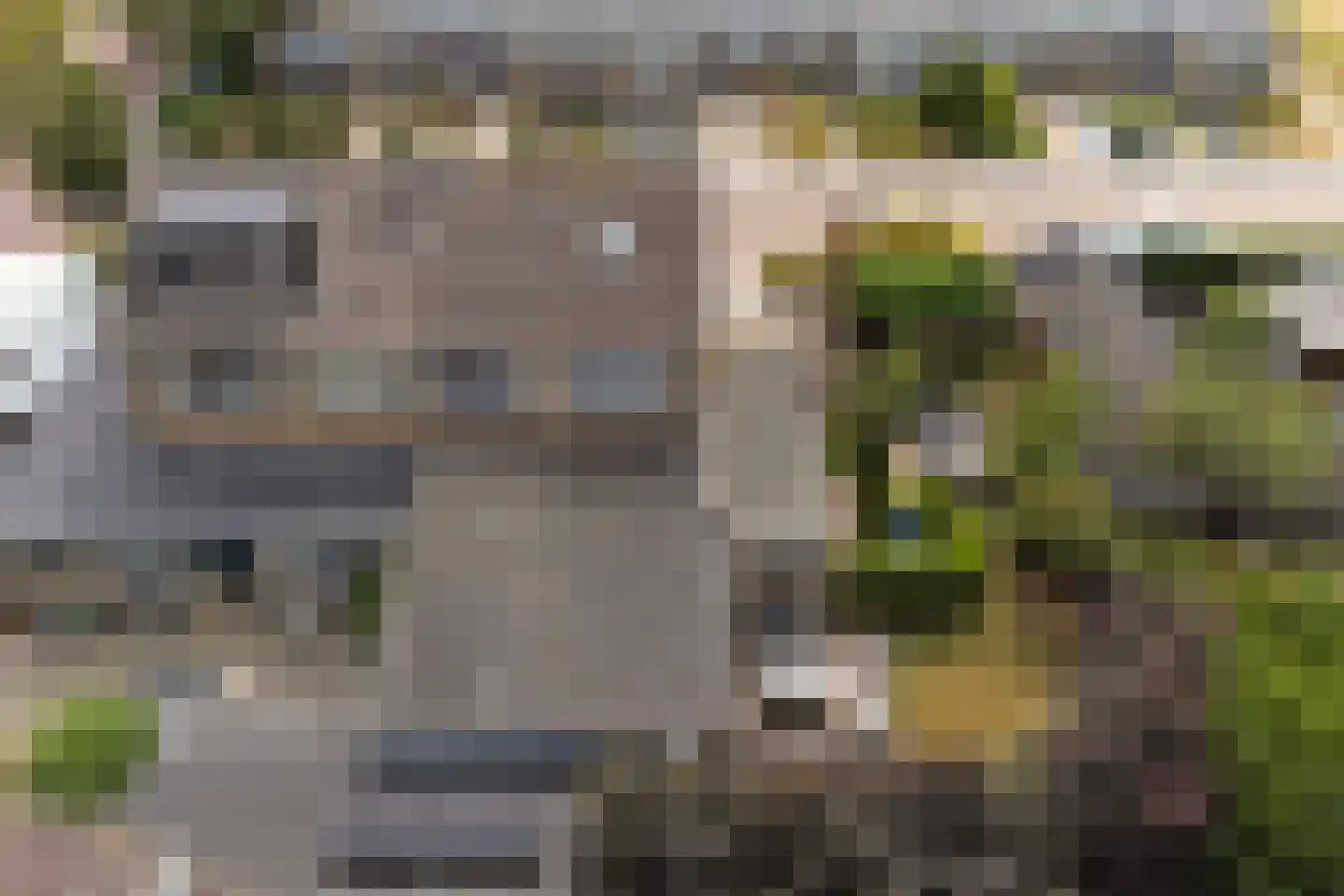Zonnebloemstraat 17 Colijnsplaat thumbnail 56