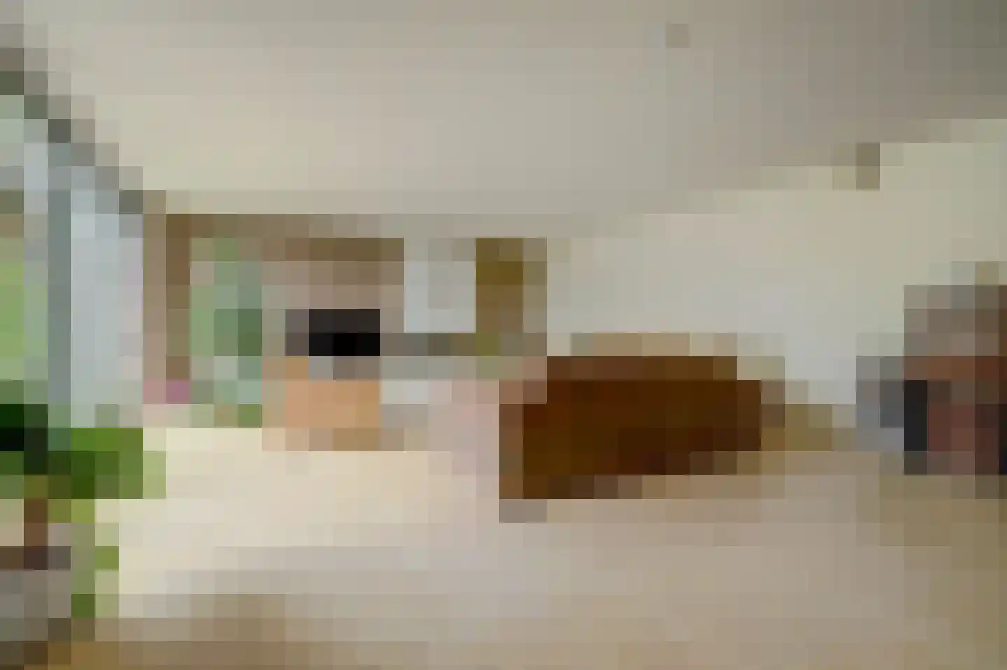 Zonnebloemstraat 17 Colijnsplaat thumbnail 7
