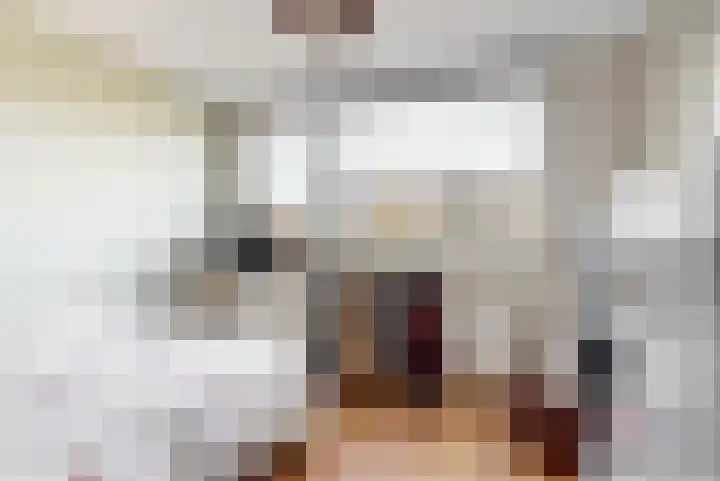 Zonnebloemstraat 17 Renkum thumbnail 17