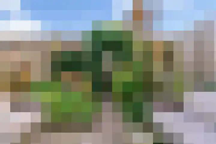Zonnebloemstraat 17 Renkum thumbnail 26
