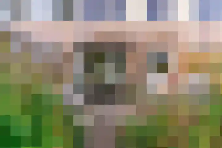 Zonnebloemstraat 17 Renkum thumbnail 27