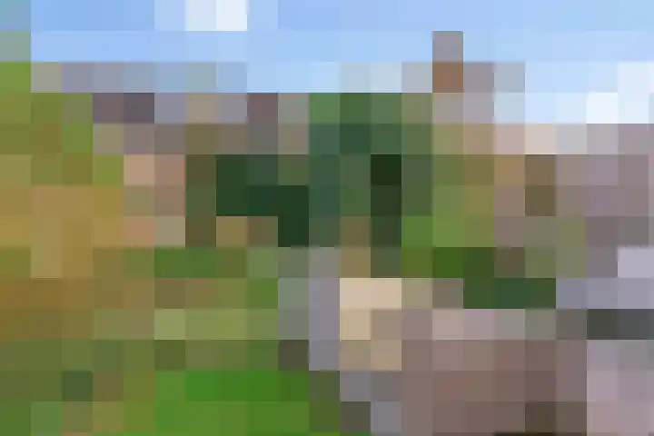 Zonnebloemstraat 17 Renkum thumbnail 28