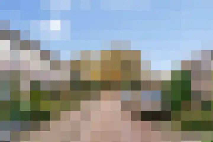Zonnebloemstraat 17 Renkum thumbnail 29