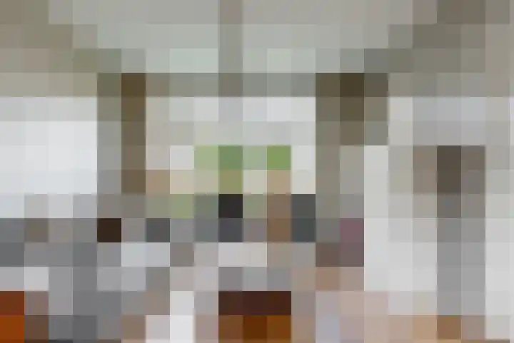 Zonnebloemstraat 17 Renkum thumbnail 5