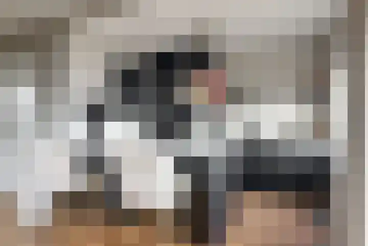 Zonnebloemstraat 17 Renkum thumbnail 7