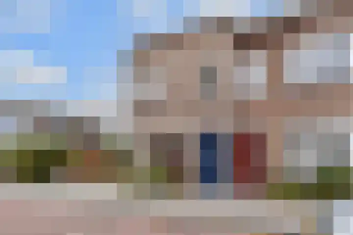 Zonnebloemstraat 19 Den Haag thumbnail 5