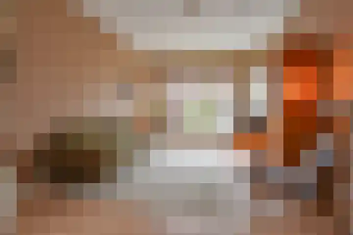 Zonnebloemstraat 19 Den Haag thumbnail 8