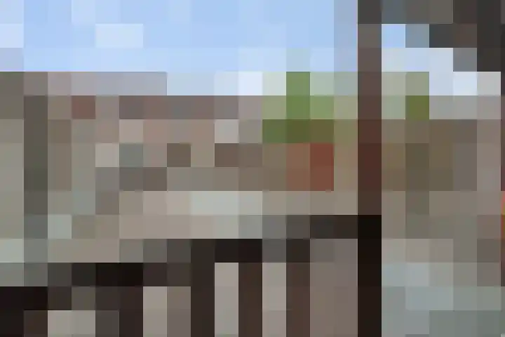 Zonnebloemstraat 19 Nijverdal thumbnail 22
