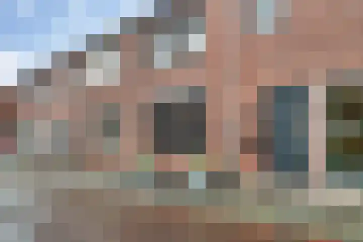 Zonnebloemstraat 19 Nijverdal thumbnail 25