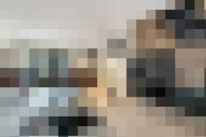 Zonnebloemstraat 19 Nijverdal thumbnail 5