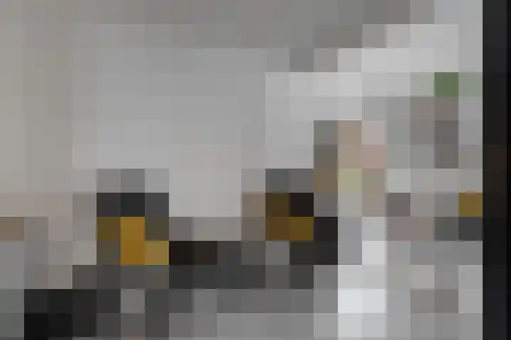 Zonnebloemstraat 2 Geleen thumbnail 12