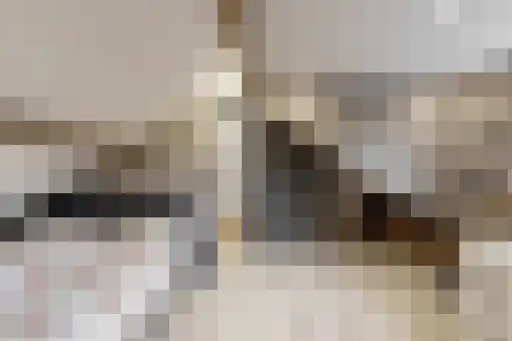 Zonnebloemstraat 2 Geleen thumbnail 15