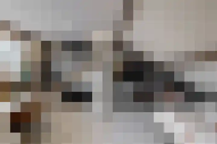 Zonnebloemstraat 2 Geleen thumbnail 16