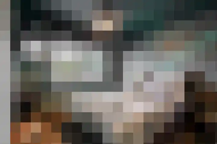 Zonnebloemstraat 2 Geleen thumbnail 23